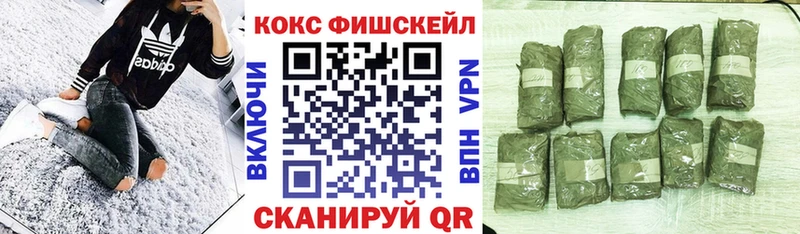 COCAIN VHQ  darknet телеграм  Пошехонье 