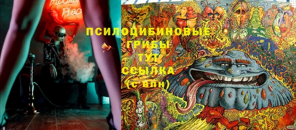 МДПВ Абаза
