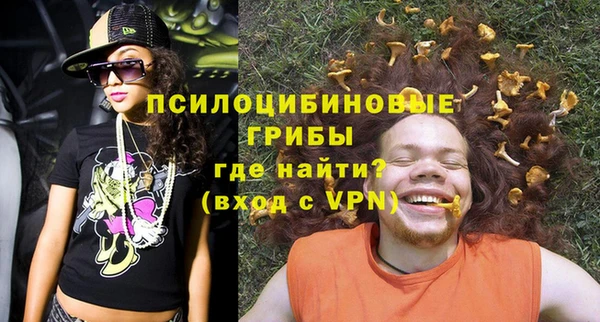 МДПВ Абаза