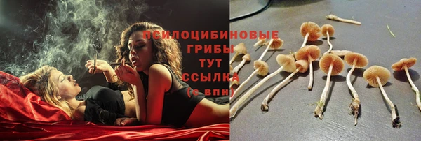 МДПВ Абаза