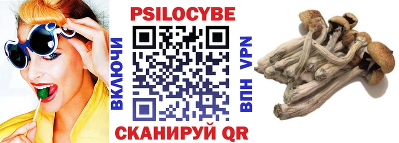 Псилоцибиновые грибы Magic Shrooms  купить   Пошехонье 