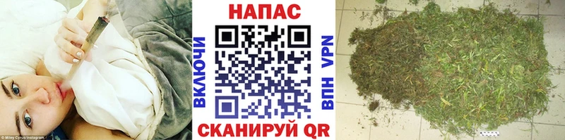 Шишки марихуана планчик Пошехонье